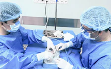 Vietnam hospital sets kidney transplant milestone with 18-hour preservation