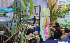 Vietnamese businesses turn shrimp shells, pineapple peels into valuable products