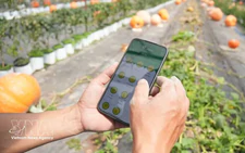 Vietnam steps up sci-tech application in agriculture