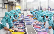 Vietnam’s Mekong Delta seeks to create better-paying, stable jobs to stem worker outflow