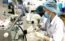 University teaching assistants in Vietnam required to have AI, foreign-language skills
