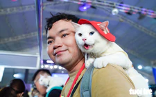 Cats, dogs steal the show in Halloween costumes in Ho Chi Minh City