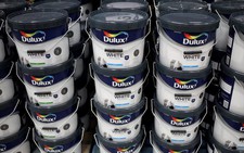 AkzoNobel to sell Southeast Asia paints business to Nippon Paint for $1.35 billion