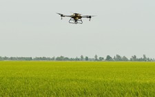 6,000 drones deployed in agriculture across Mekong Delta farmlands in Vietnam