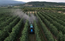 Toxic chemicals permeate the food we eat. Here’s how to design them out