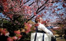 Kidney drug found effective for infertility treatment