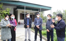 Vietnam’s Ha Tinh destroys over 900 birds amid H5N1 outbreak