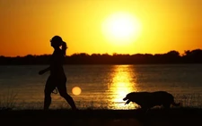 Till death do us bark: Brazilian state lets pets be buried with owners