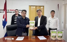 Vietnam sends 250 tonnes of rice to support Cuba's food security