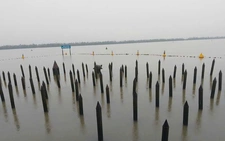 When a small Vietnamese team outsmarts a giant