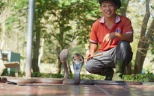 Foreign tourists embrace snakes for photos at snake farm in Vietnam’s Dong Thap