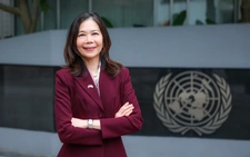 Vietnam’s expanding global ties signal rising leadership, partnership opportunities: UN official