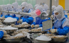 US sets final anti-dumping duties on Vietnamese shrimp exporters