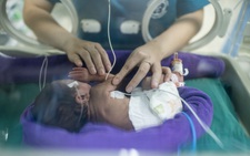 Fragile newborns begin life fighting for every breath at Hanoi hospital