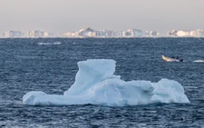 AI to track icebergs adrift at sea in boon for science