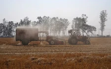 India lifts wheat stock limits as supplies rise
