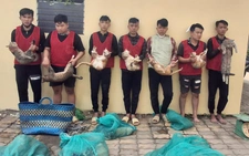 Ho Chi Minh City police bust armed cat-theft ring, recover stolen pets