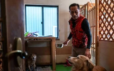 Former Fukushima worker devotes life to abandoned pets