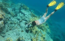 Caribbean islands seek $200 million for regional biodiversity push