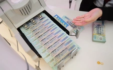 Vietnam lacks structures to absorb capital for growth: Deloitte