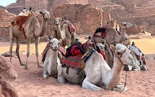 Vietnamese companies struggle as Middle East tensions disrupt tours, exports