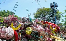 Century-old bird sanctuary in Vietnam’s Ca Mau shows alarming signs of decay