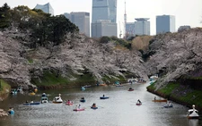 Japan aiming to attract more foreign visitors to national parks
