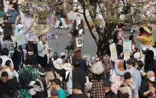 Japan allows joint child custody after divorce