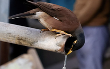 Rising water risks drive push for common water reporting rules