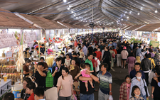 Southern folk cake fest kicks off in Vietnam’s Can Tho