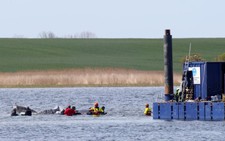 Germany holds breath as stranded whale 'Timmy' sets off in barge