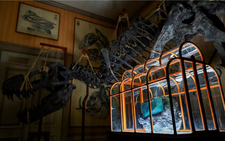 Dinosaur collagen used to create one-of-a-kind handbag