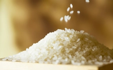 Japan's rice prices likely to fall in coming months