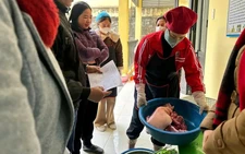 Vietnam suspends kindergarten principal after African swine fever found in school pork