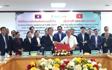 Vietnam’s Hoang Anh Gia Lai inks deal for $50mn coffee project in Laos