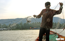 US allows continued imports of Vietnamese swimming crabs under marine mammal rules