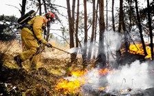 France, Germany send firefighters to help battle Dutch blazes