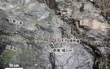 Asteroid traces in Japan may be linked to dinosaur extinction