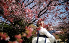 Social norms seen as key factor in Japan's low birthrate