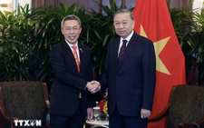 Vietnam’s Party chief meets senior executives of Singapore corporations