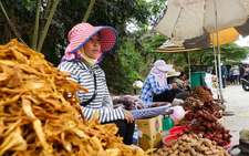 Market atop mountain in southern Vietnam offers unique shopping experience above clouds