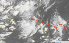 Tropical depression likely to form east of Philippines, may enter East Vietnam Sea