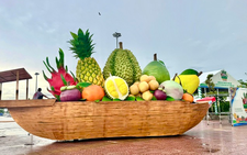 Vietnam’s Dong Thap to treat visitors to fruit fest