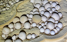 Newly discovered cave in Vietnam's Phong Nha–Ke Bang reveals thousands of rare cave pearls