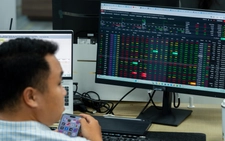 Ho Chi Minh Stock Exchange to delist Bamboo Capital shares due to compliance issues