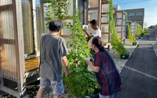 ‘Green curtain’ initiative spreading in Japan