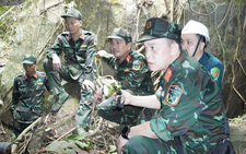 Da Nang launches search for remains of 8 fallen soldiers at wartime cave