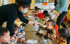 Hanoi penalizes 16 school food suppliers over safety violations