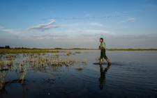 Hungary channels water to protect UNESCO bird haven amid drought