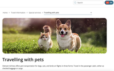 Flying with furry companions: How to bring pets into airplane cabins in Vietnam
